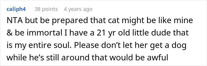 Comment about woman upset as girlfriend won’t let her get a dog because of her old cat’s presence. Comment about woman upset as girlfriend won’t let her get a dog because of her old cat’s presence.