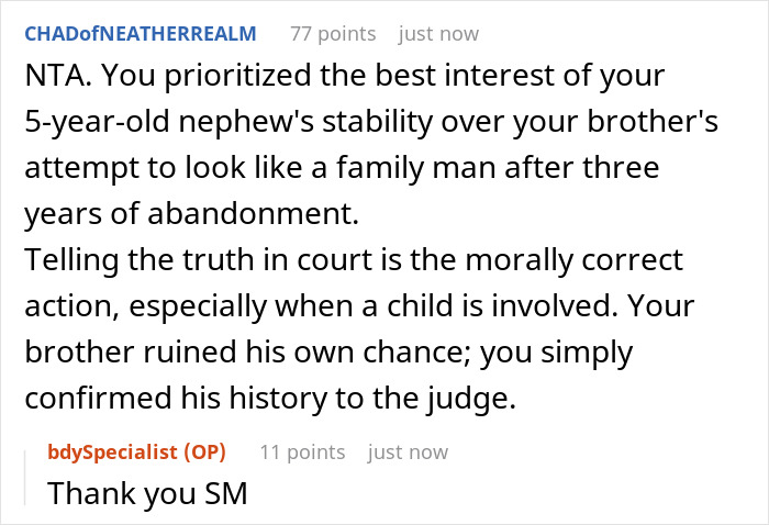 Reddit comments discussing truth told in custody court about brother who abandoned his kid causing family drama. Reddit comments discussing truth told in custody court about brother who abandoned his kid causing family drama.