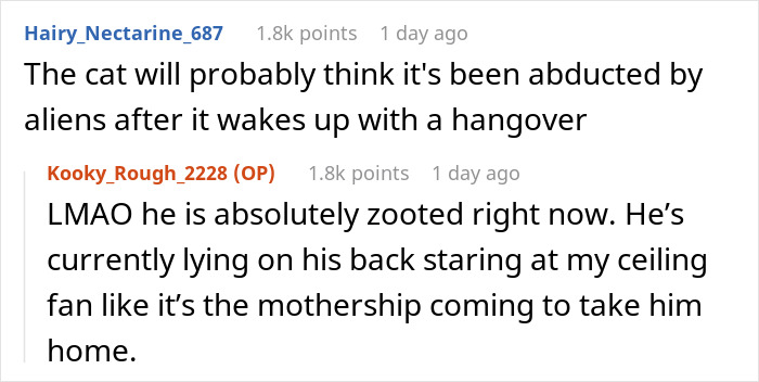 Screenshot of a humorous online chat about a cat acting confused, related to stealing wrong cat paying bills topic. Screenshot of a humorous online chat about a cat acting confused, related to stealing wrong cat paying bills topic.