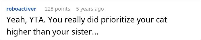Comment highlighting someone prioritizing their cat over their sister, related to a guy splitting the internet by giving his old laptop to his cat.