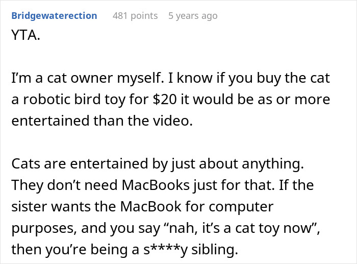 Reddit comment discussing a cat owner’s view on giving an old laptop to a cat instead of a sibling.