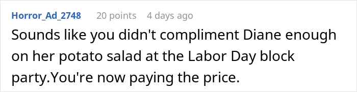 Comment on social media post expressing humor about a woman facing HOA fines over festive Christmas decorations.