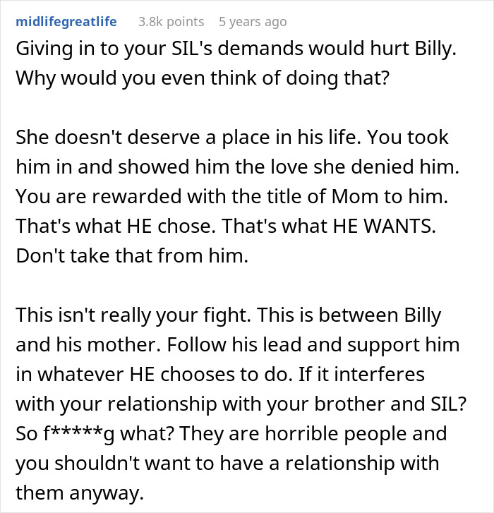 Comment discussing a woman letting her nephew call her mom and the bio mom demanding she stops it.