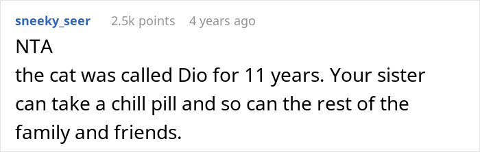 Screenshot of a user commenting on a family dispute over rehoming or renaming an 11-year-old cat sharing a name with sister’s son. Screenshot of a user commenting on a family dispute over rehoming or renaming an 11-year-old cat sharing a name with sister’s son.