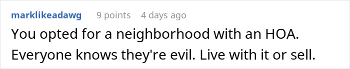 Woman shocked after HOA fines her $100 per day for overly festive Christmas decorations on her house.