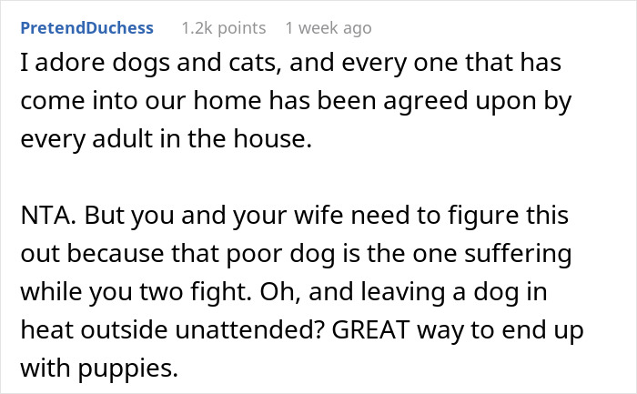 Comment discussing dog care home drama, focusing on resolving conflicts to protect the dog's well-being and avoid unwanted puppies. Comment discussing dog care home drama, focusing on resolving conflicts to protect the dog's well-being and avoid unwanted puppies.