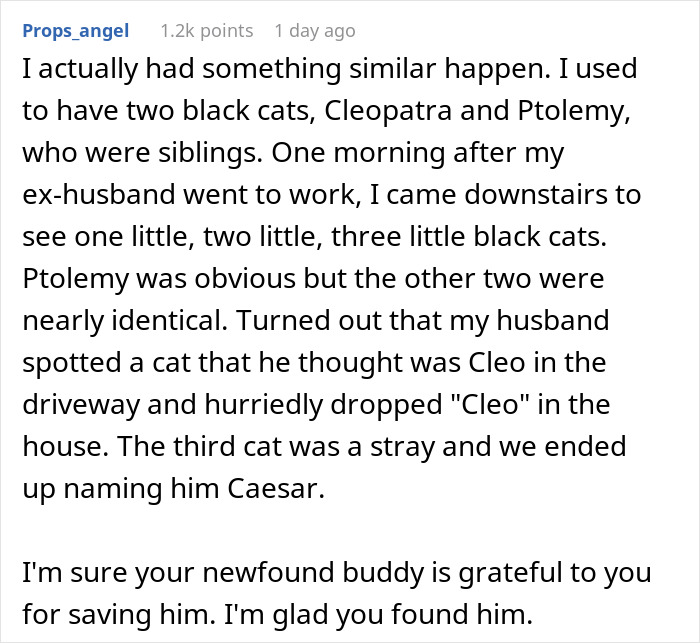 Comment describing a story about stealing the wrong cat and unexpectedly paying bills for a new furry friend.