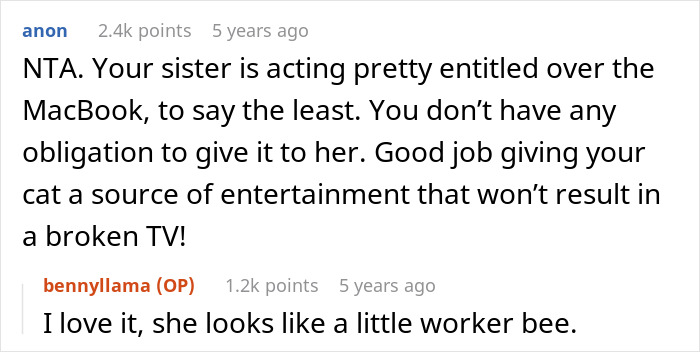 Reddit comment discussing a guy giving his old laptop to his cat instead of his sister, sparking entertainment and debate.