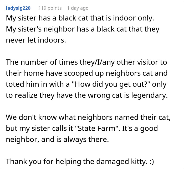 Alt text: Person accidentally stealing the wrong cat while trying to help, highlighting a funny story about stealing wrong cat paying bills.