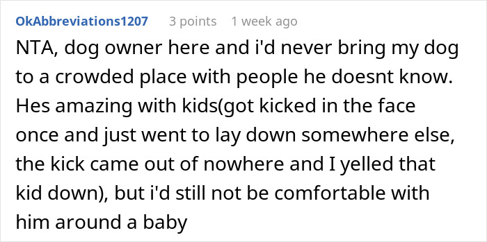 Comment from a new mom explaining discomfort with pit bulls around her baby despite owner&rsquo;s assurance of safety.