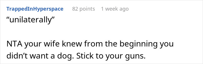 Commenter TrappedInHyperspace responding confidently about dog care home drama and advice on staying firm. Commenter TrappedInHyperspace responding confidently about dog care home drama and advice on staying firm.