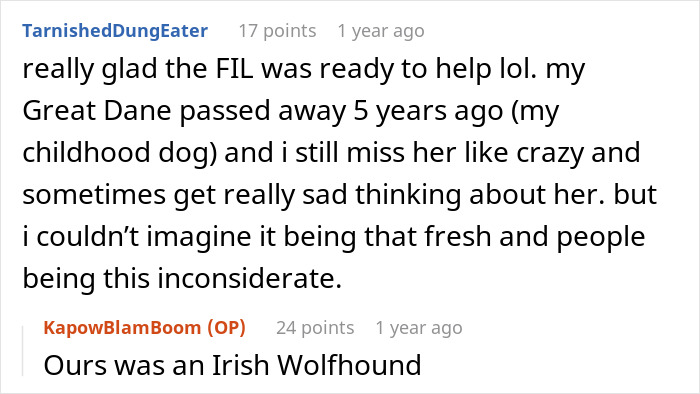Commenter sharing memory of their childhood Great Dane dog and feelings, related to mil-house-christmas-dog topic.
