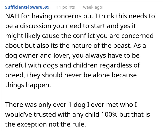 Reddit comment discussing concerns about a pit bull around a baby and dog safety for new moms.