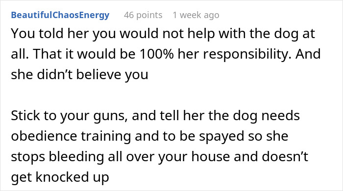 Comment advising firm boundaries and dog obedience training to handle dog-care home drama effectively.