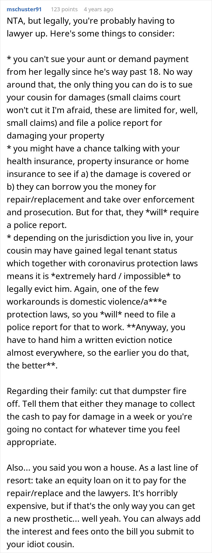 Screenshot of detailed Reddit advice discussing legal steps for a man demanding cousin pay for his cruel prank and aunt’s shocking reaction.