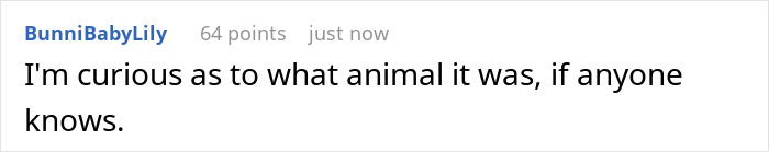 Reddit comment by BunniBabyLily asking what animal it was, referencing a racist gift incident. Reddit comment by BunniBabyLily asking what animal it was, referencing a racist gift incident.