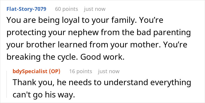 Commenters discussing family loyalty and protecting a nephew from bad parenting in a custody court family drama. Commenters discussing family loyalty and protecting a nephew from bad parenting in a custody court family drama.