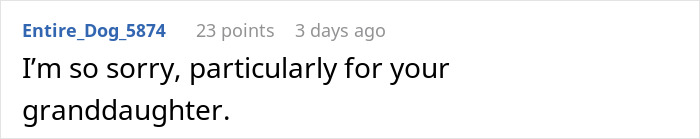 Screenshot of a social media comment expressing sympathy for a granddaughter amid grandma’s savage holiday clapback. Screenshot of a social media comment expressing sympathy for a granddaughter amid grandma’s savage holiday clapback.