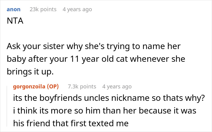 Reddit comments discussing a sister demanding family rehomes or renames an 11-year-old cat due to shared name with her son. Reddit comments discussing a sister demanding family rehomes or renames an 11-year-old cat due to shared name with her son.