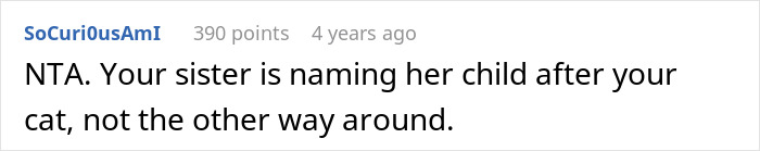 Screenshot of a comment discussing a sister demanding family rehomes or renames 11-year-old cat due to shared name with her son. Screenshot of a comment discussing a sister demanding family rehomes or renames 11-year-old cat due to shared name with her son.