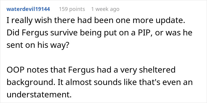 Text from a Reddit comment discussing a character named Fergus, unrelated to woman weirded out coworker work mom.