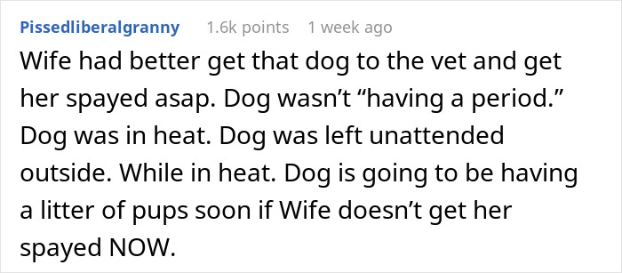 Comment warning about urgent dog care at home, advising spaying to prevent unwanted puppies and avoid dog-care home drama.