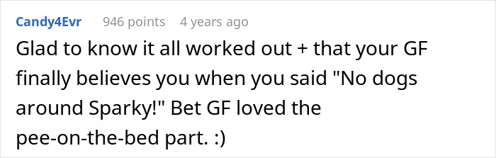 Comment about a woman upset because her girlfriend won’t let her get a dog due to her old cat. Comment about a woman upset because her girlfriend won’t let her get a dog due to her old cat.