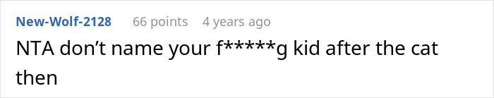 Screenshot of a forum comment discussing a sister demanding family rehomes or renames an 11-year-old cat sharing a name with her son. Screenshot of a forum comment discussing a sister demanding family rehomes or renames an 11-year-old cat sharing a name with her son.