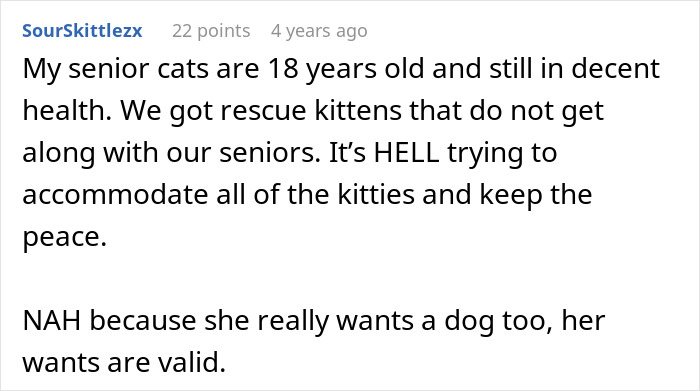 Upset woman unable to get a dog due to concerns about her old senior cat’s health and behavior. Upset woman unable to get a dog due to concerns about her old senior cat’s health and behavior.