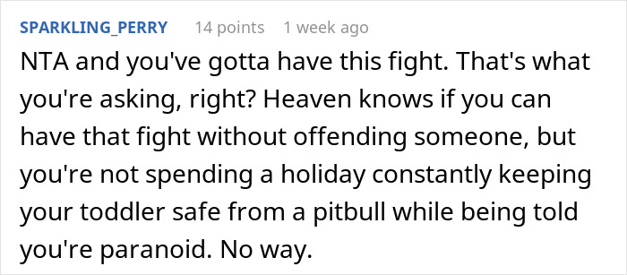 Comment discussing a new mom&rsquo;s concerns about her brother&rsquo;s pit bull around her toddler during a family vacation.