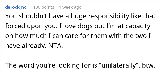Commenter expresses limits in dog care at home, highlighting the challenges and responsibility in a dog-care-home-drama situation.