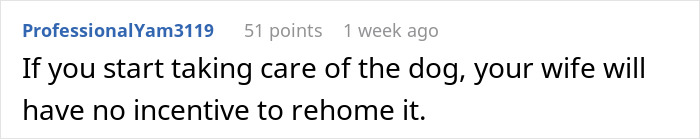 Text comment on a white background discussing dog care and its impact on decisions in a home drama situation. Text comment on a white background discussing dog care and its impact on decisions in a home drama situation.