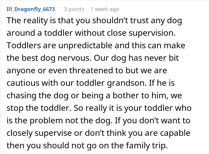 Comment discussing cautious supervision of dogs around toddlers and concerns during family trips with pets.