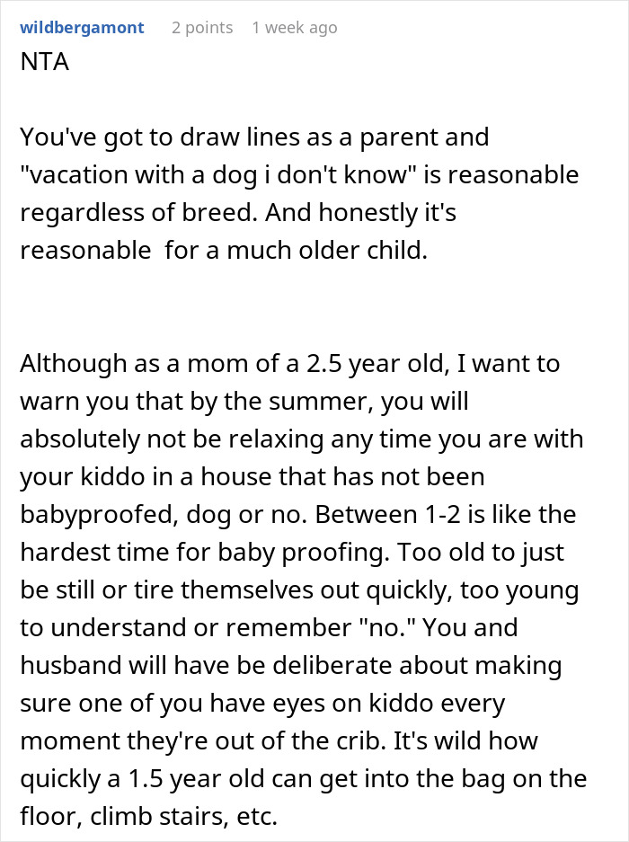 Comment discussing new mom setting boundaries on family vacation due to concerns about pit bull around baby.