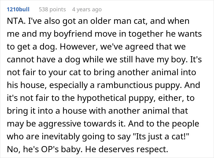 Comment discussing challenges of getting a dog due to an old cat’s needs and respect in a shared home. Comment discussing challenges of getting a dog due to an old cat’s needs and respect in a shared home.