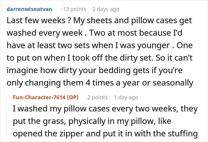 Reddit conversation about a guy testing roommate&rsquo;s allergy to grass by putting grass in her pillow stuffing.