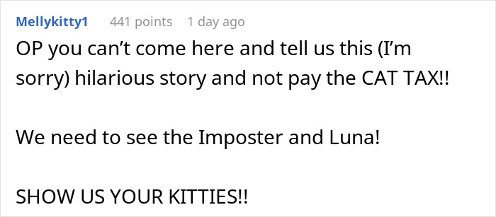 Comment text on social media demanding to see cats after stealing wrong cat and paying bills story. Comment text on social media demanding to see cats after stealing wrong cat and paying bills story.