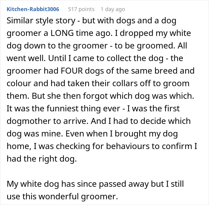User sharing a story about stealing the wrong pet and the challenge of paying bills related to dog grooming services.