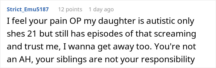 Reddit comment: user empathizes with exhausted teen dealing with autistic siblings' screaming and not responsible.