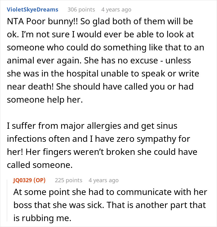 Screenshot of a Reddit conversation about owner trusting bestie with bunny care who goes MIA during vacation.