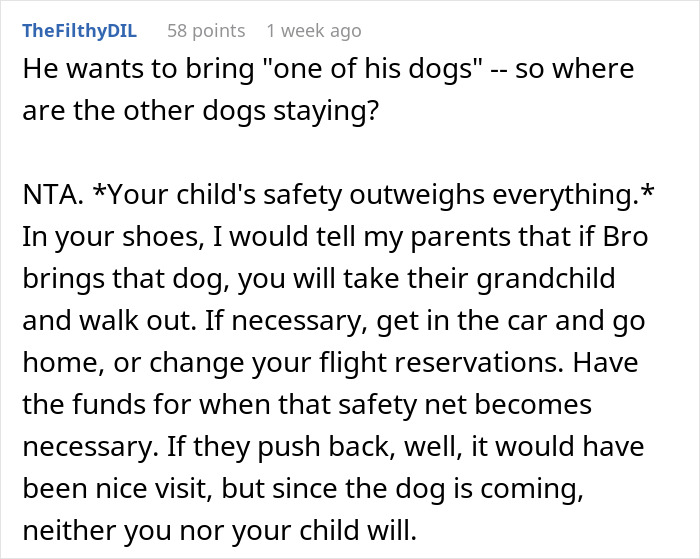 Comment about new mom protecting baby from pit bull, prioritizing safety over family vacation with dog present.