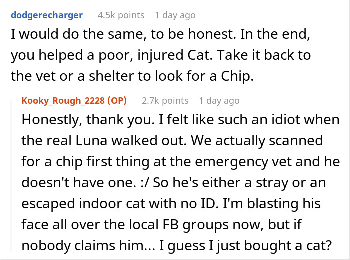 Comments about accidentally stealing the wrong cat, helping an injured cat, and paying bills for the stray cat. Comments about accidentally stealing the wrong cat, helping an injured cat, and paying bills for the stray cat.