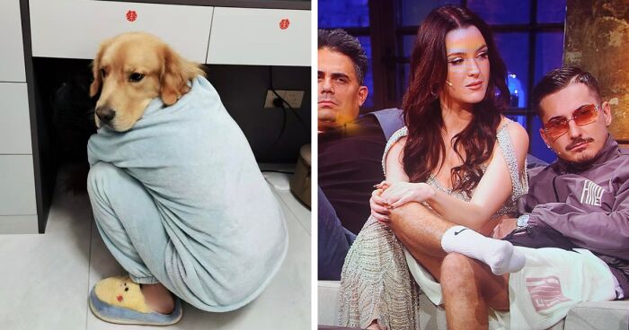 83 Photos So Confusing Your Brain Might Need A Moment To Catch Up