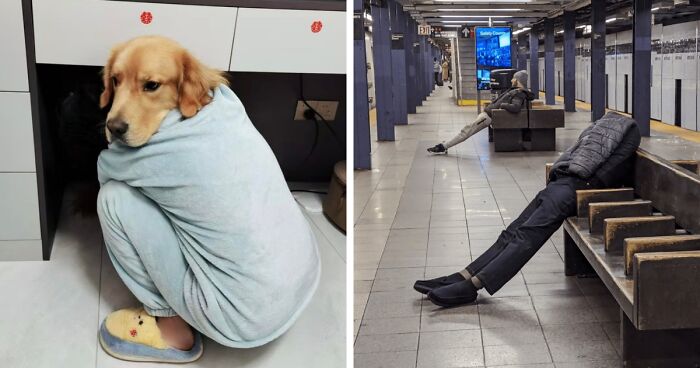 83 Photos That Trick Your Eyes So Well You Might Need A Second Or Third Look To Get Them