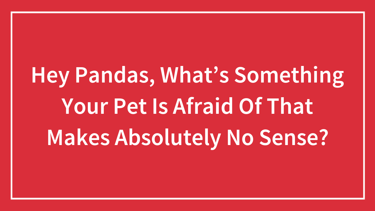 boredpanda.com - Community Panda - Hey Pandas, What's Something Your Pet Is Afraid Of That Makes Absolutely No Sense?