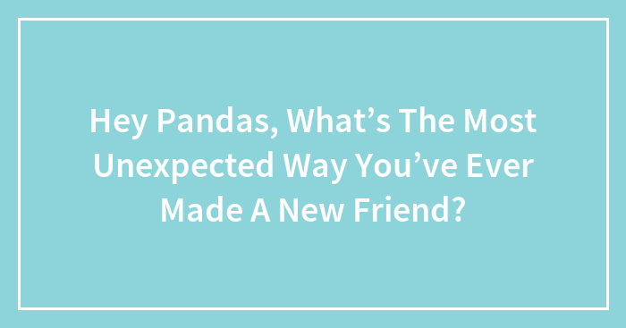 Hey Pandas, What’s The Most Unexpected Way You’ve Ever Made A New Friend?