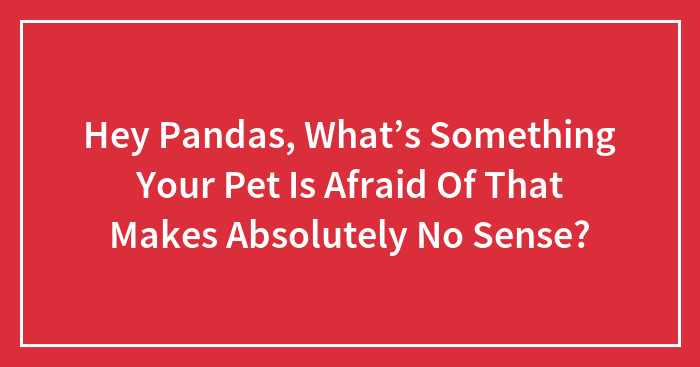Hey Pandas, What’s Something Your Pet Is Afraid Of That Makes Absolutely No Sense?
