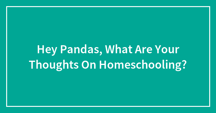 Hey Pandas, What Are Your Thoughts On Homeschooling?