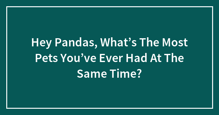 Hey Pandas, What’s The Most Pets You’ve Ever Had At The Same Time?