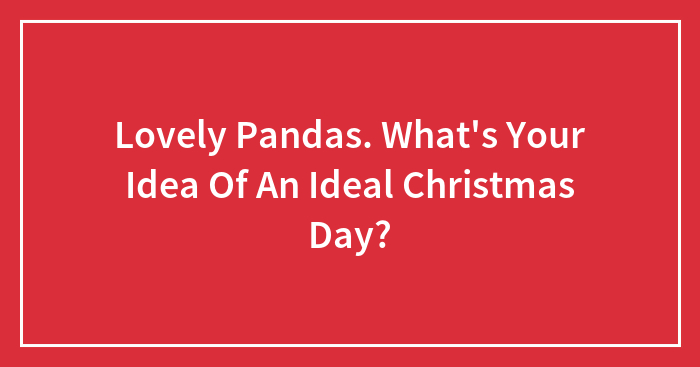 Lovely Pandas. What’s Your Idea Of An Ideal Christmas Day?
